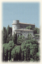 trequanda.gif (20049 byte)